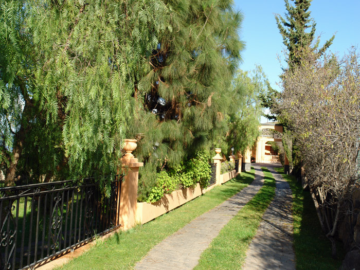 Pour retourner aux photos, cliquez ici!