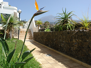 Fotos m�s grande? Hace un clic por aqui