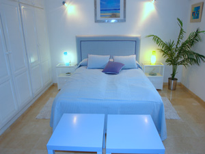 Cliquer pour agrandir