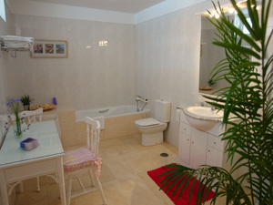 Cliquer pour agrandir