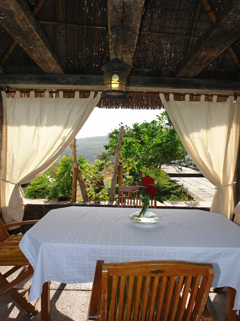 Per tornare alla foto, clicca qui